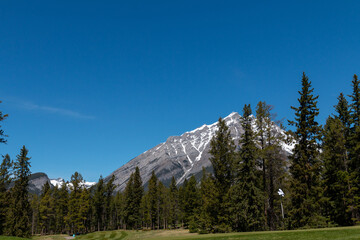 Golf course in the mountains on a sunny day. Leisure and summer sports concept
