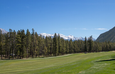 Fototapeta na wymiar Golf course in the mountains on a sunny day. Leisure and summer sports concept
