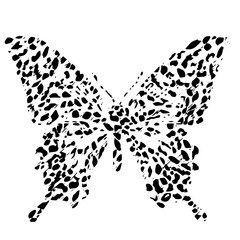 Vector illustration of a butterfly. A logo design element for a collection of T-shirts. Elements for the design of postcards.