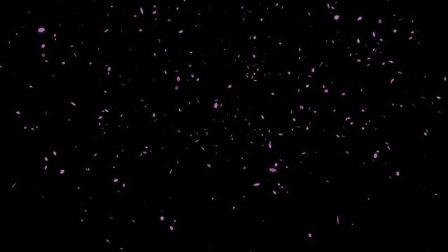 Slowly falling cherry blossom petals (HD) Alpha channel can be synthesizedゆっくり落ちる桜の花びら（HD）合成用