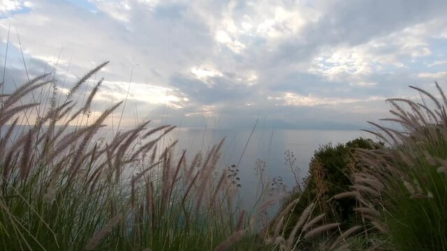 Rose fountain grass agains cloudy blue sky. Sea view sunset, Antalya, Turkey