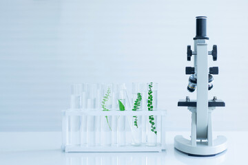 Microscope and Test tube on white table, green leaf in test tube, biology laboratory, back side of...
