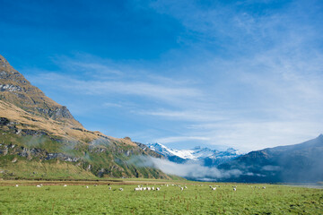 Matukituki Valley, Mount Aspiring National Park, New Zealand