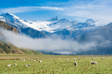 Fototapeta na wymiar Matukituki Valley, Mount Aspiring National Park, New Zealand