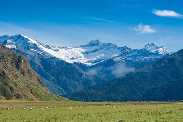 Matukituki Valley, Mount Aspiring National Park, New Zealand