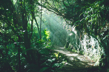 Heaphy Track, Kahurangi National Park, West Coast, New Zealand
