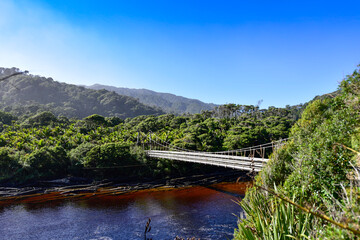 Kohaihai River Bridge on Heaphy Track, Kahurangi National Park, West Coast, New Zealand