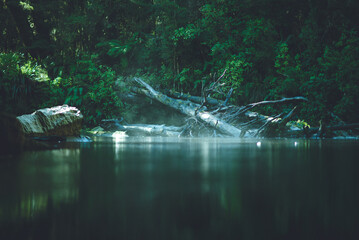 Oparara River in Kahurangi National Park, West Coast, New Zealand
