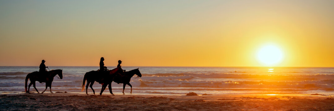 Horses on the beach at sunset
