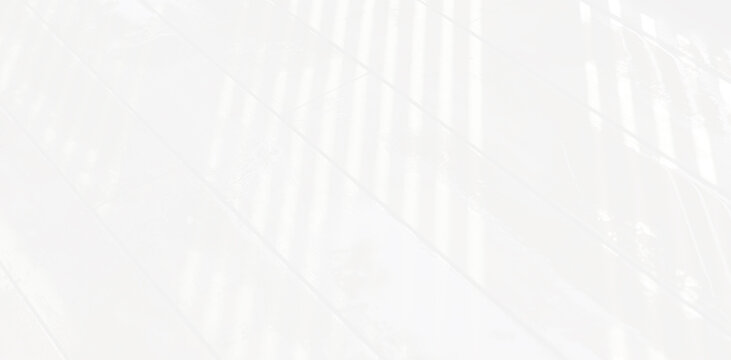 Abstract Shadow. blur background. gray leaves that reflect concrete walls on a white wall surface for blurred backgrounds and monochrome wallpapers.