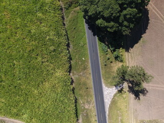 CARRETERA