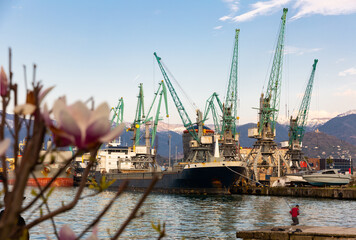 Cargo port on Black Sea in Batumi in spring sunny day, Georgia