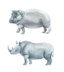 Watercolor set of rhinoceros and hippopotamus isolated on white background. Hand drawn realistic illustration