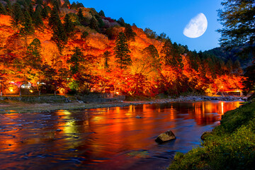 美しくライトアップされた香嵐渓の秋