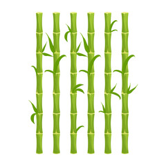 Green bamboo fence with leaves, wall in cartoon style isolated on white background. Natural barrier from sticks, planks. Rustic outdoor protection. Asian, tribal. Vector illustration