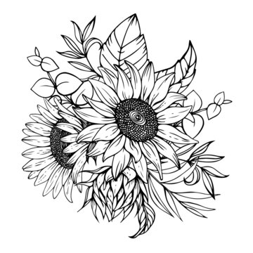 Original Realism Sunflower Drawing by Elite Art