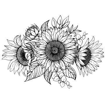 Vector bouquet of sunflowers with twigs and leaves.