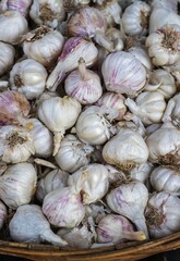 Pile of Organic Garlic Clove with Selective Focus in Vertical Orientation