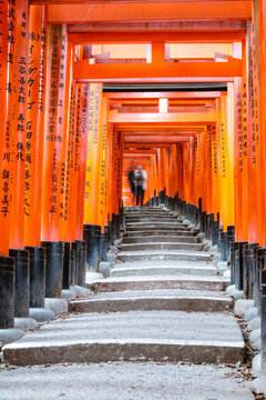 Stairs, Torii gates, Fushimi Inari Taisha, Kyoto, Japan
