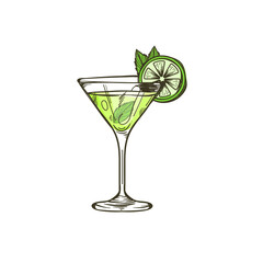 bright beautiful color hand drawn cocktail illustration isolated on white background