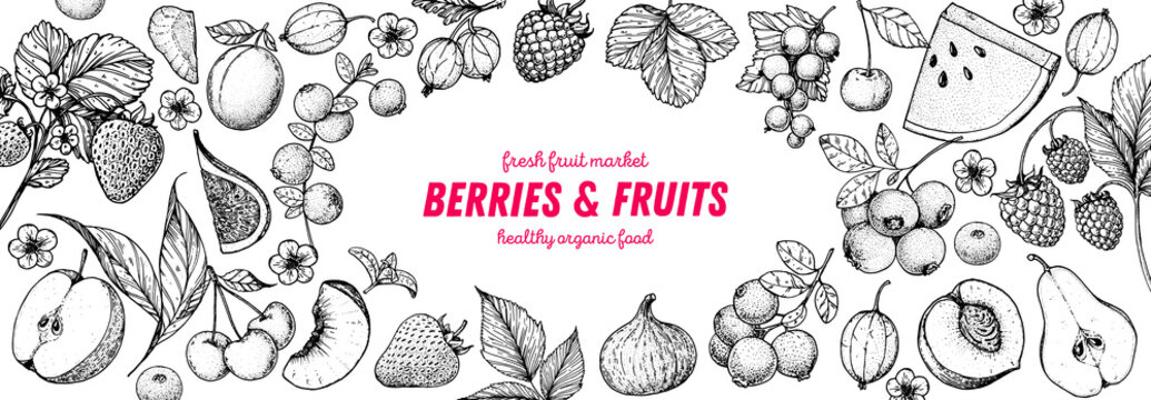 Berries and fruits drawing collection. Hand drawn berry sketch. Vector illustration. Set of various fruits and berries