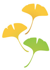 紅葉　イチョウの落ち葉のイラスト