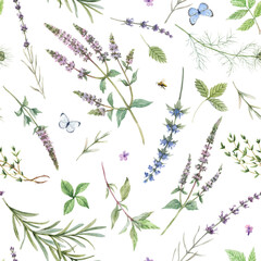 Beautiful seamless floral pattern with hand drawn watercolor gentle mint flowers and other herbs. Stock illuistration.