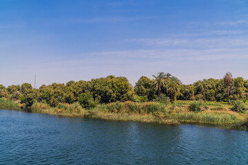 Beautiful panoramic view of the shores of the Nile River with palm trees and vegetation near Edfu, Egypt