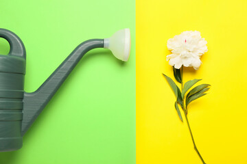 Stylish watering can and beautiful peony flower on color background
