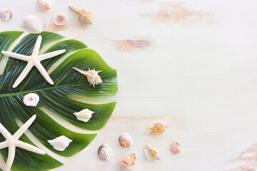 nautical concept with monstera leaf, seashells over white wooden background © tomertu