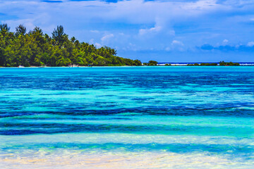 Colorful Beach Palm Trees Coral Reefs Blue Water Moorea Tahiti