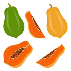 Set of fresh juicy papaya fruits with slices vector illustration