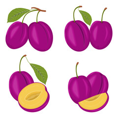 Set of fresh juicy plum fruits with leaves and slices vector illustration