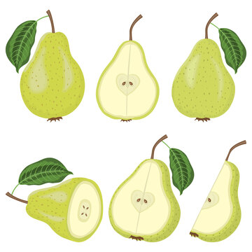 Set of fresh juicy pear fruits with leaves and slices vector illustration