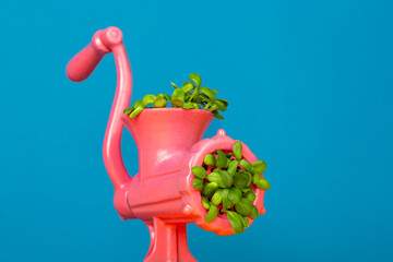 A pink meat grinder from which green grass with leaves grows. The concept of no meat, sustainable...