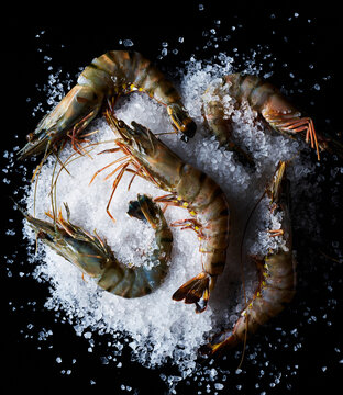 Tiger prawns on rock salt