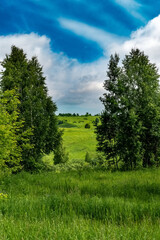 Fototapeta na wymiar Green field with trees and blue sky and clouds on a summer day