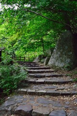 stairway to heaven