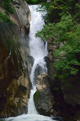 Obraz premium waterfall in the forest