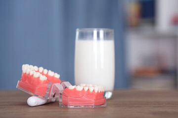 Tooth model and a glass of milk
