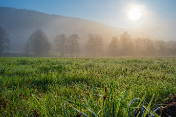 Klimaneutral in die Zukunft - Net-Zero 2050