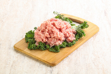 Raw pork minced meat for cooking