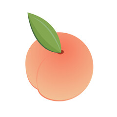 Peach vector. Peach on white background. Peach logo design.