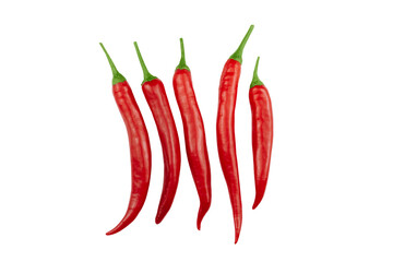 Chili peppers isolated on white background. Fresh spicy vegetables.