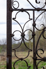 metal forged ornate door