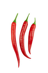 Chili peppers isolated on white background. Fresh spicy vegetables.
