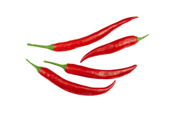 Chili peppers isolated on white background. Fresh spicy vegetables.