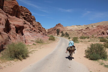 Woman riding a donkey away from the historic site of Petra, Jordan.