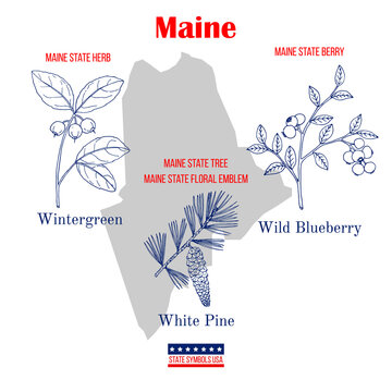 Maine. Set of USA official state symbols