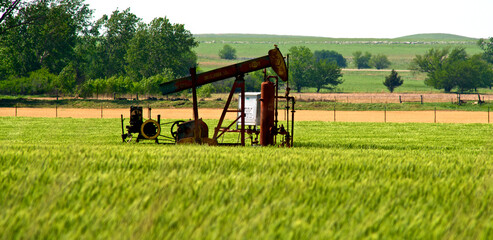 Stripper Oil Well in cow pasture